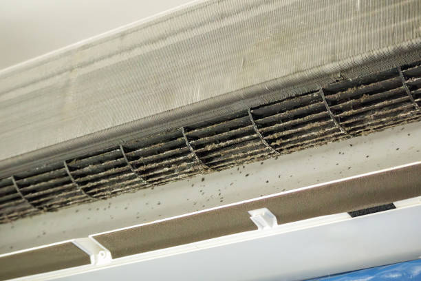 Best Affordable Duct Cleaning Services  in Incline Village, NV